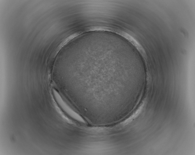 X0000113020993200909101834
