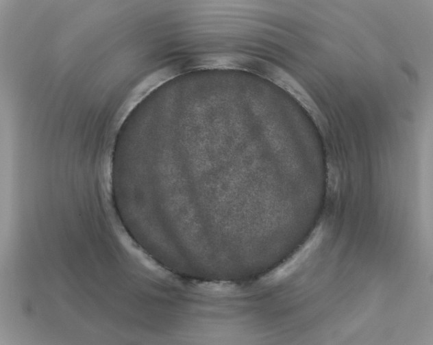 X0000113020994200909101834
