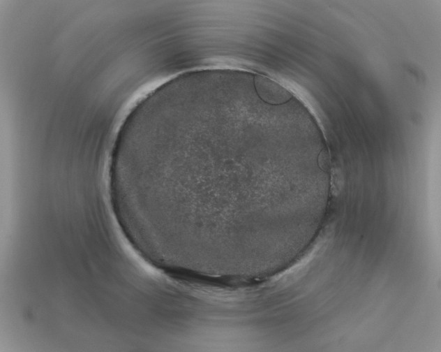 X0000113020995200909101834