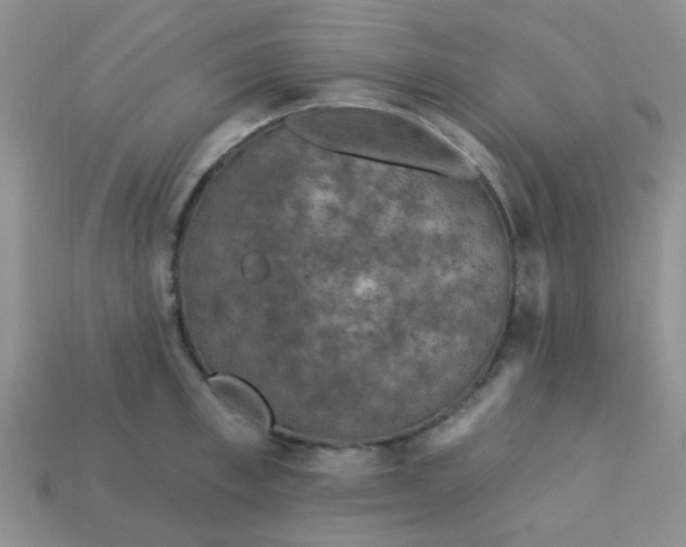 X0000113020997200909101834
