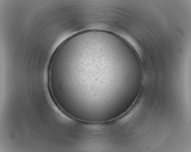 X0000113020999200909101834