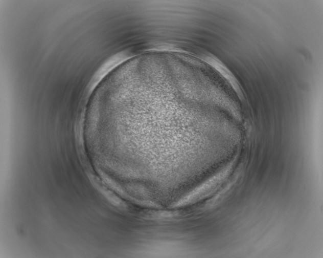 X0000113021002200909101834