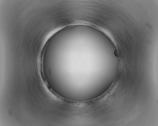 X0000113021003200909101834