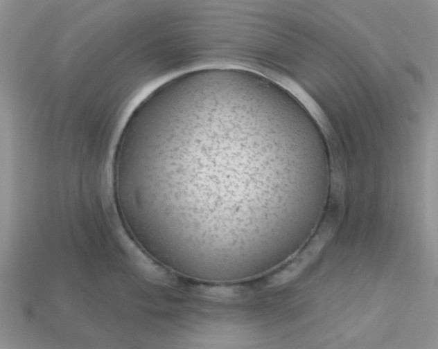 X0000113021004200909101834