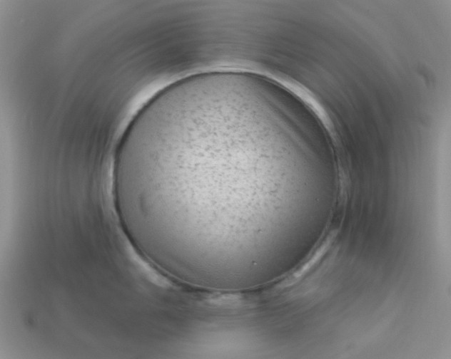X0000113021006200909101834