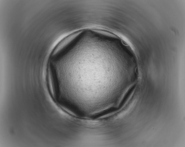 X0000113021007200909101834