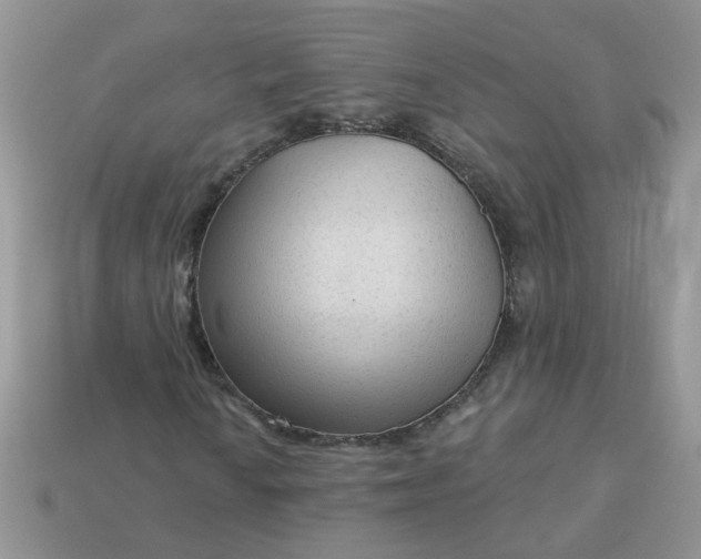 X0000113021010200909101833