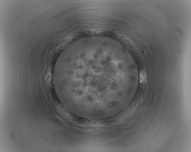 X0000113021011200909101833