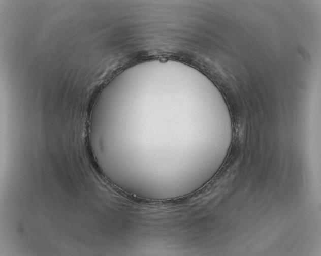 X0000113021012200909101833