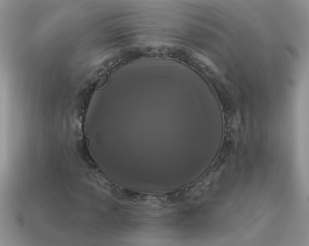 X0000113021013200909101833