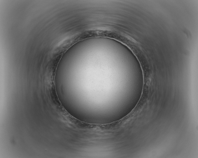 X0000113021014200909101833