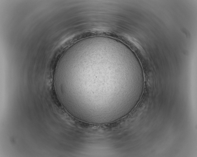 X0000113021015200909101833
