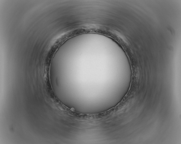 X0000113021016200909101833
