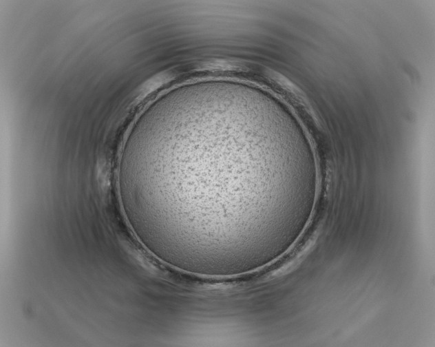 X0000113021017200909101833