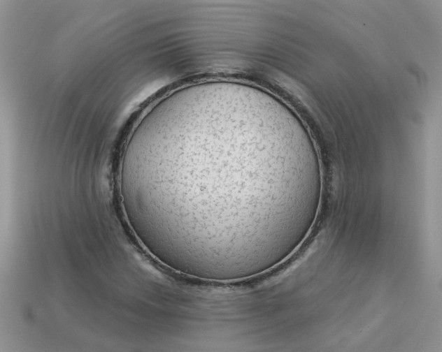 X0000113021018200909101833