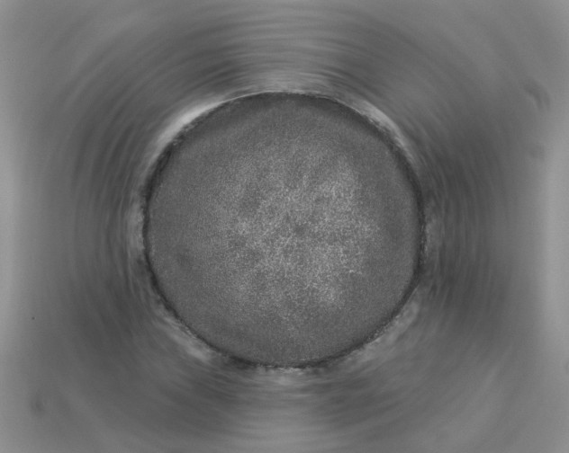 X0000113021019200909101833