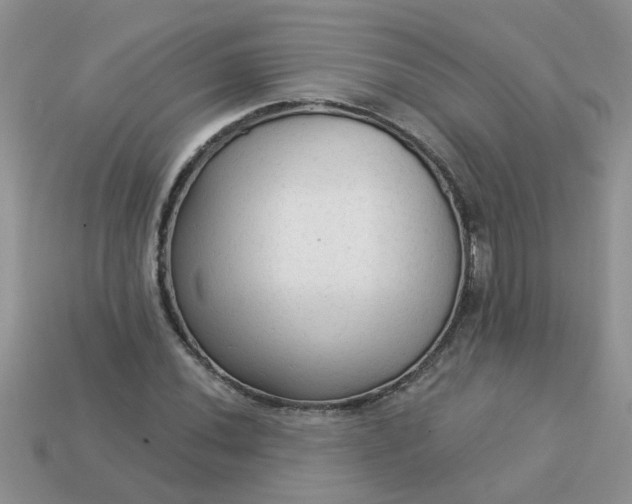 X0000113021020200909101833