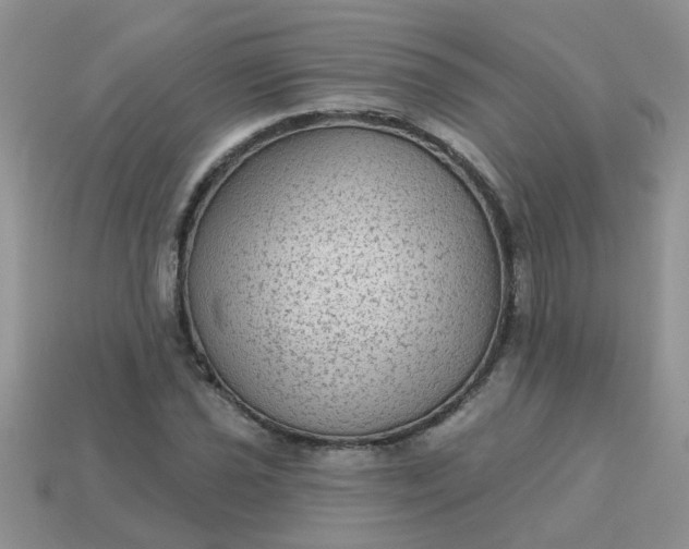 X0000113021021200909101833