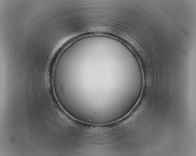 X0000113021022200909101833