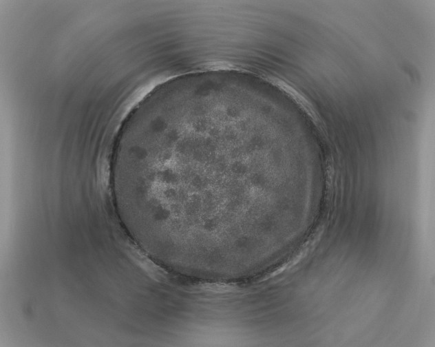 X0000113021023200909101833