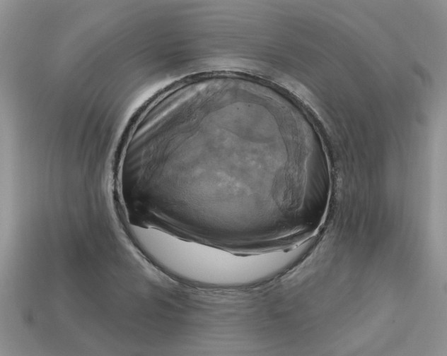 X0000113021024200909101833