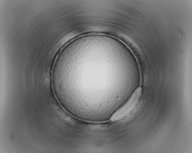 X0000113021025200909101833
