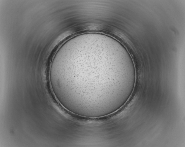 X0000113021026200909101833