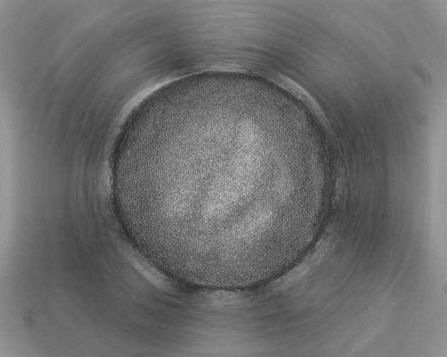 X0000113021027200909101833