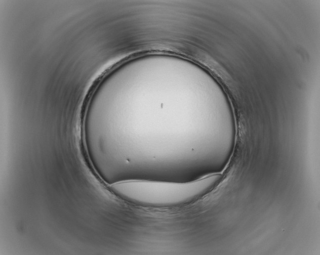 X0000113021028200909101833