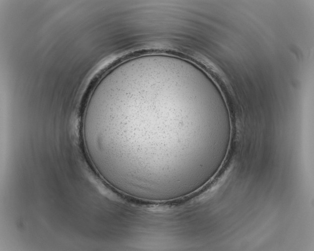 X0000113021029200909101833