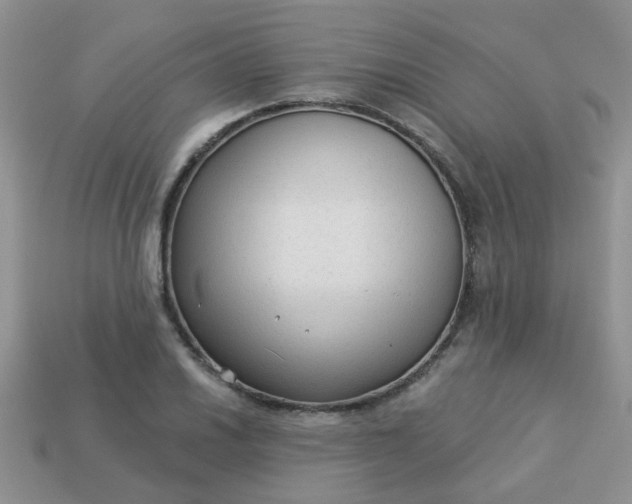 X0000113021030200909101833