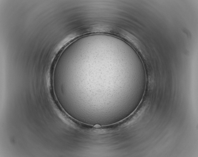 X0000113021034200909101833