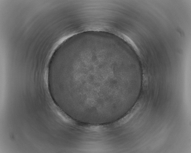 X0000113021035200909101833