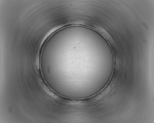 X0000113021036200909101833