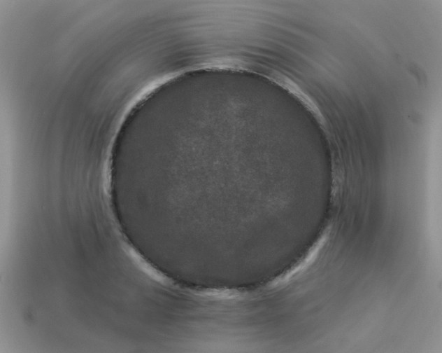 X0000113021037200909101833