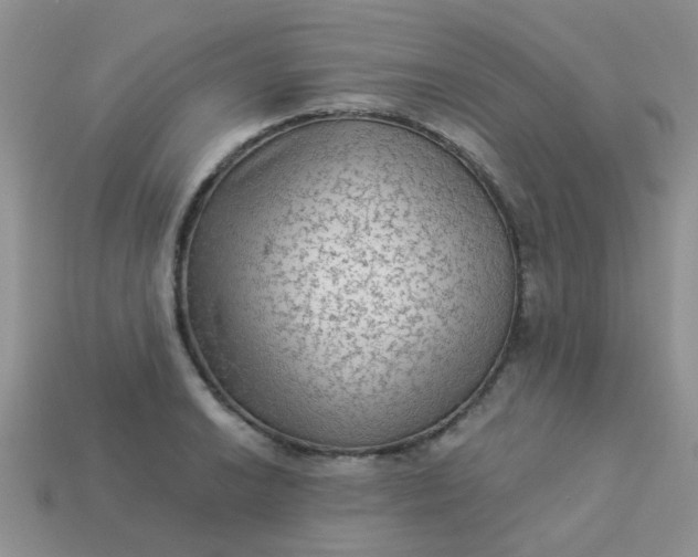 X0000113021038200909101833