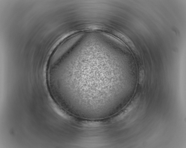 X0000113021039200909101833