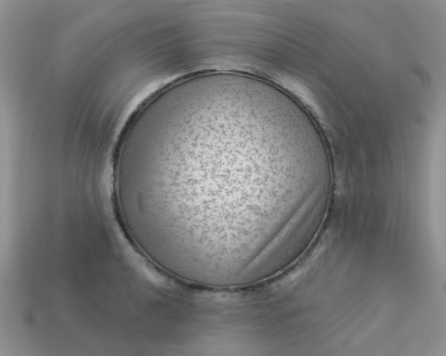 X0000113021040200909101833