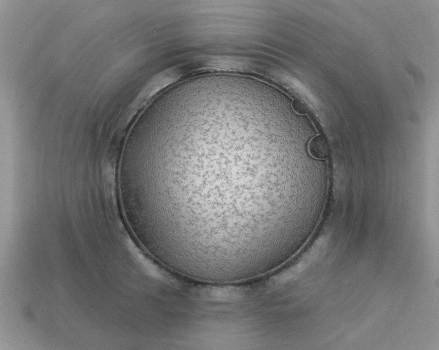 X0000113021041200909101833