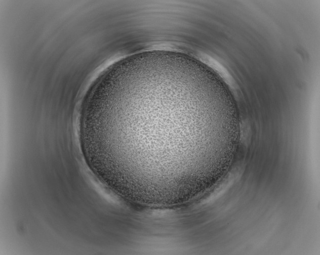 X0000113021043200909101834