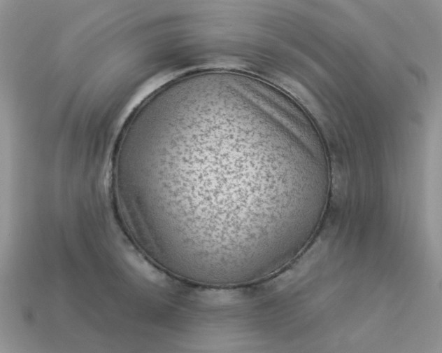 X0000113021044200909101834