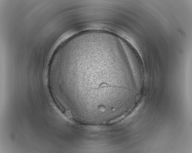 X0000113021045200909101834