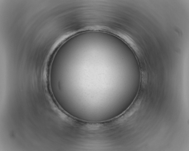 X0000113021046200909101834