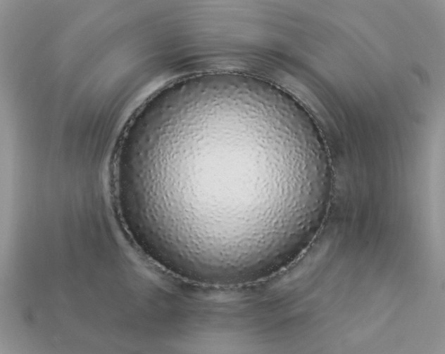 X0000113021047200909101834