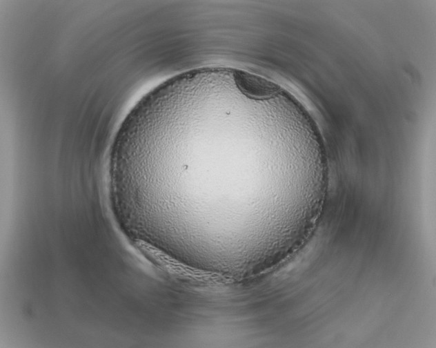X0000113021048200909101834
