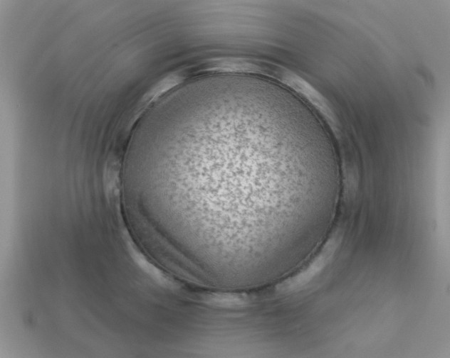 X0000113021049200909101834