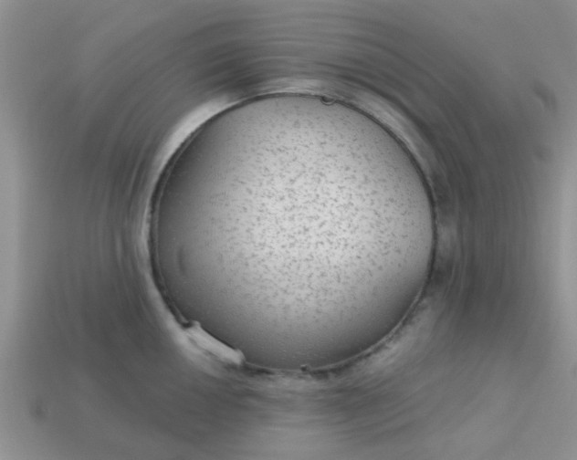 X0000113021050200909101834
