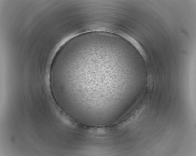 X0000113021051200909101834