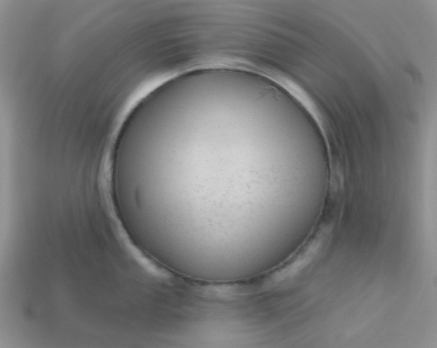 X0000113021053200909101834
