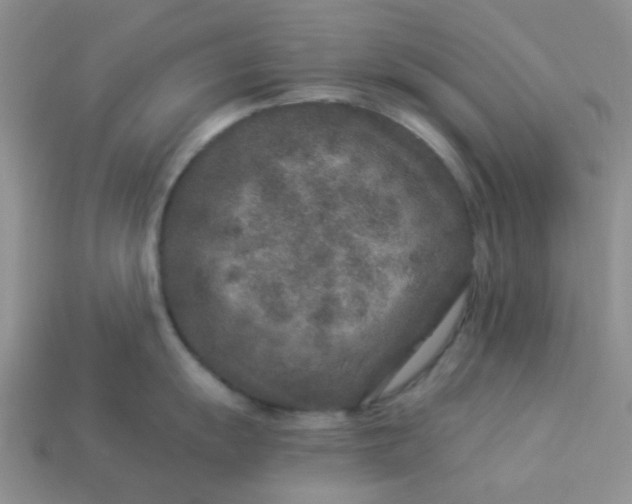 X0000113021055200909101834